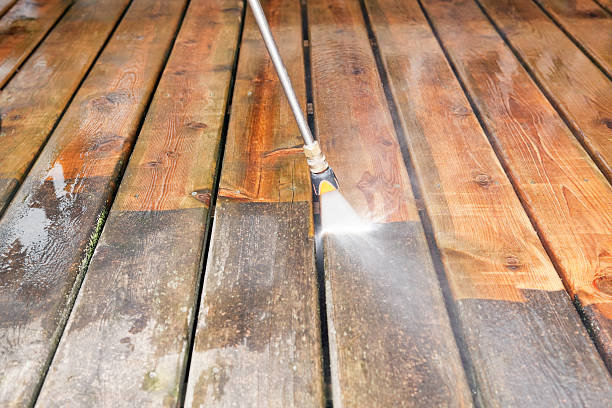 Animal Enclosure Cleaning in Ethete, WY